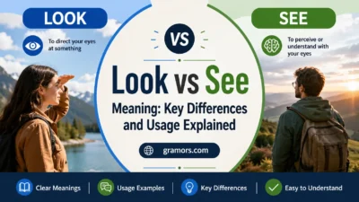 Look vs See