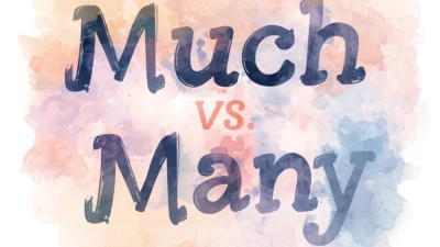Much vs Many: Clear Guide to Correct Usage in English
